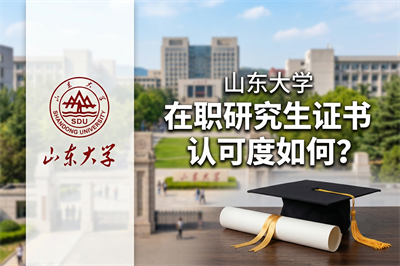 山东大学在职研究生 山东大学在职研究生