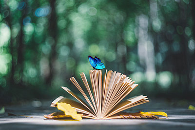 在职研究生 在职研究生