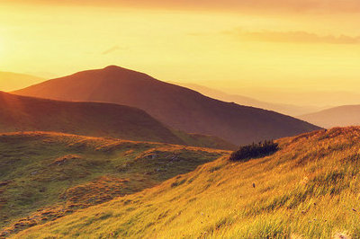 山东大学专业硕士在职研究生 山东大学专业硕士在职研究生