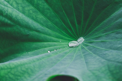 山东大学在职研究生