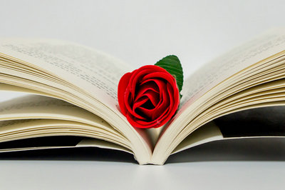 山东大学在职研究生 山东大学在职研究生