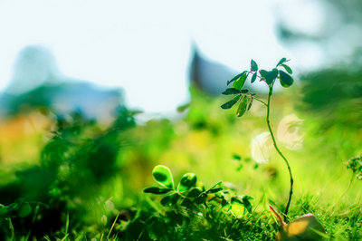 山东大学同等学力在职研究生 山东大学同等学力在职研究生