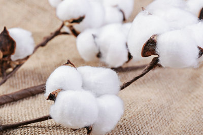 山东大学在职研究生 山东大学在职研究生