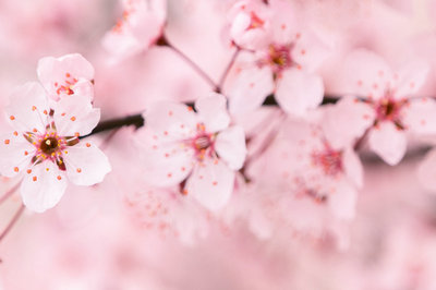 山东大学在职研究生 山东大学在职研究生