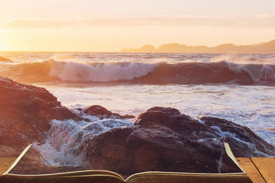 在职研究生双证