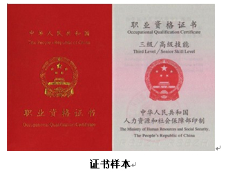 山东大学双证在职研究生专业好考吗？