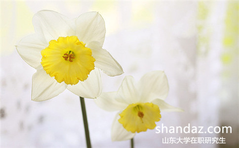 山东大学在职研究生都在哪些地区招生