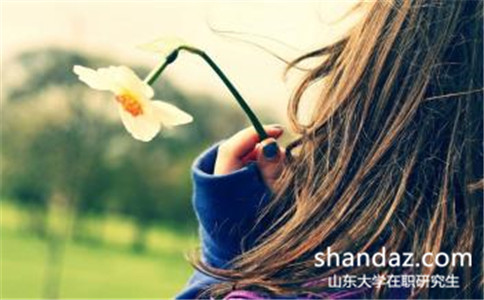 2017年山东大学会计学在职研究生怎么报名