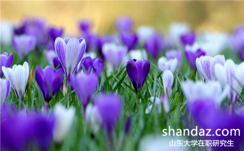 山东大学在职研究生学费可以分期缴纳吗