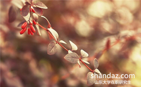 读山东大学在职研究生有毕业证吗