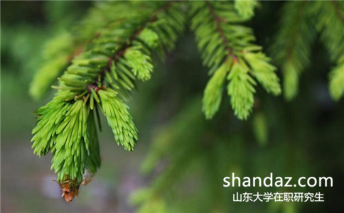 2017年山东大学在职研究生报名是什么时候