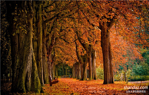山东大学在职研究生一年有几次报名机会?