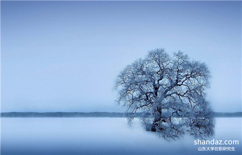 山东大学在职研究生哪种授课形式更好