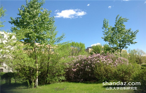 山东大学同等学力申硕