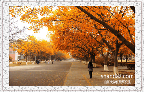 山东大学在职研究生 山东大学在职研究生