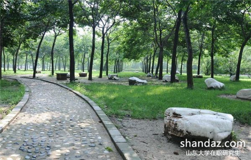山东大学在职研究生 山东大学在职研究生