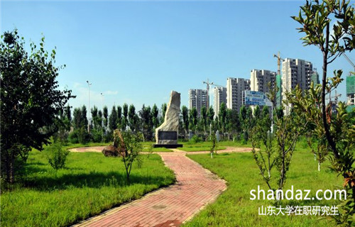 山东大学在职研究生 山东大学在职研究生