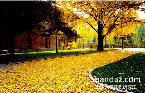 山大在职研究生 山大在职研究生
