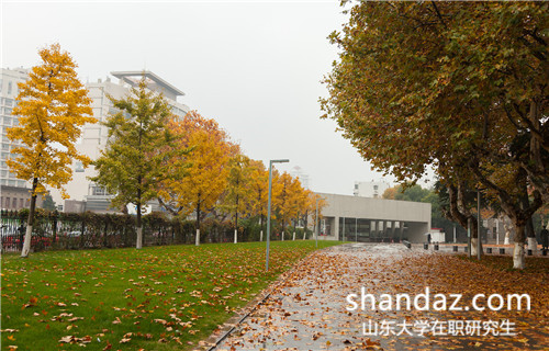 山东大学在职研究生 山东大学在职研究生