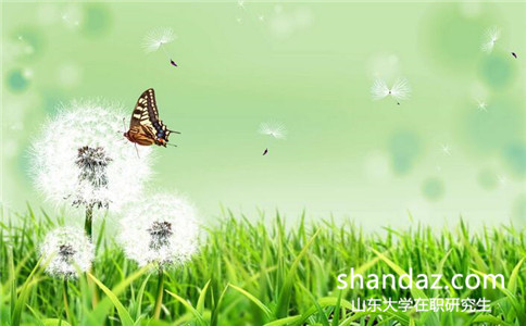 山东大学在职研究生会计学专业怎么样? 山东大学在职研究生会计学专业怎么样?