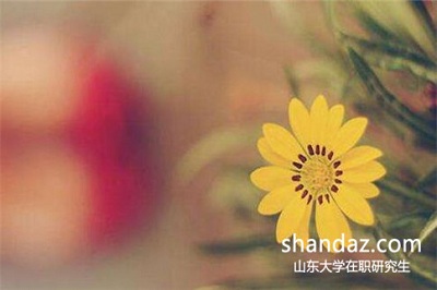 山东大学在职研究生必须在职才能报吗？