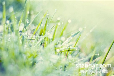 山东大学在职研究生单证的方式考试科目都有什么? 山东大学在职研究生单证的方式考试科目都有什么?