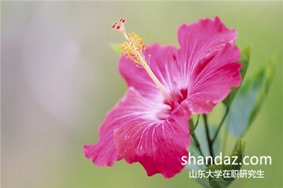 山东大学在职研究生必须参加入学考试吗? 山东大学在职研究生必须参加入学考试吗?